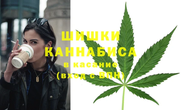 шишки Бронницы