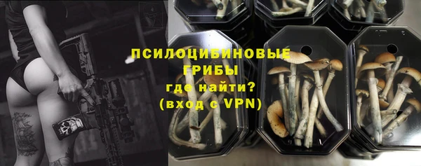 прущие крисы Богородицк