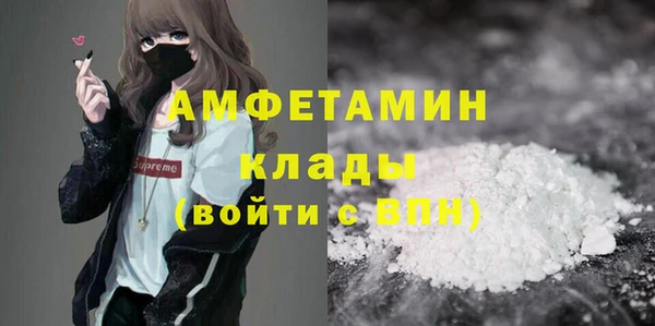 МДПВ Бородино