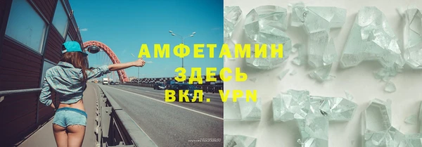 МДПВ Бородино