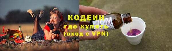 шишки Бронницы