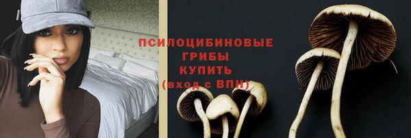 МДПВ Бородино