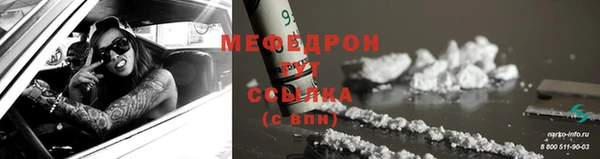 МДПВ Бородино