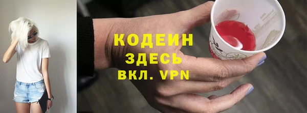 МДПВ Бородино