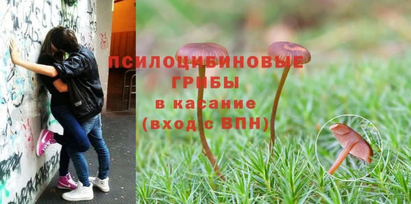 МДПВ Бородино