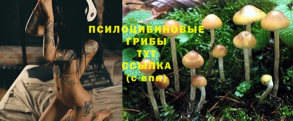 шишки Бронницы