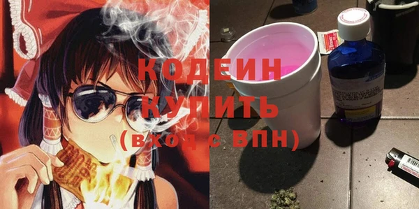 МДПВ Бородино