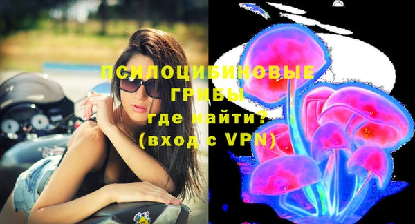 шишки Бронницы
