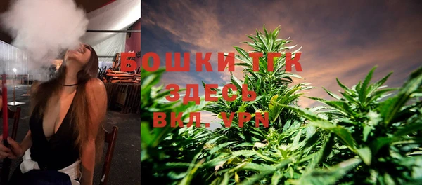 шишки Бронницы