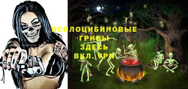 гидропоника Бугульма