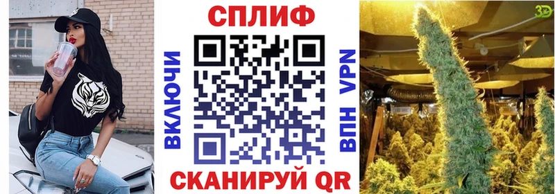 Купить где  Гвардейск  Шишки марихуана сатива 